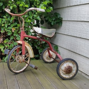 Designer Cottage garden and arts offer a glimpse of what heritage and cultural once established around the house and cottages.