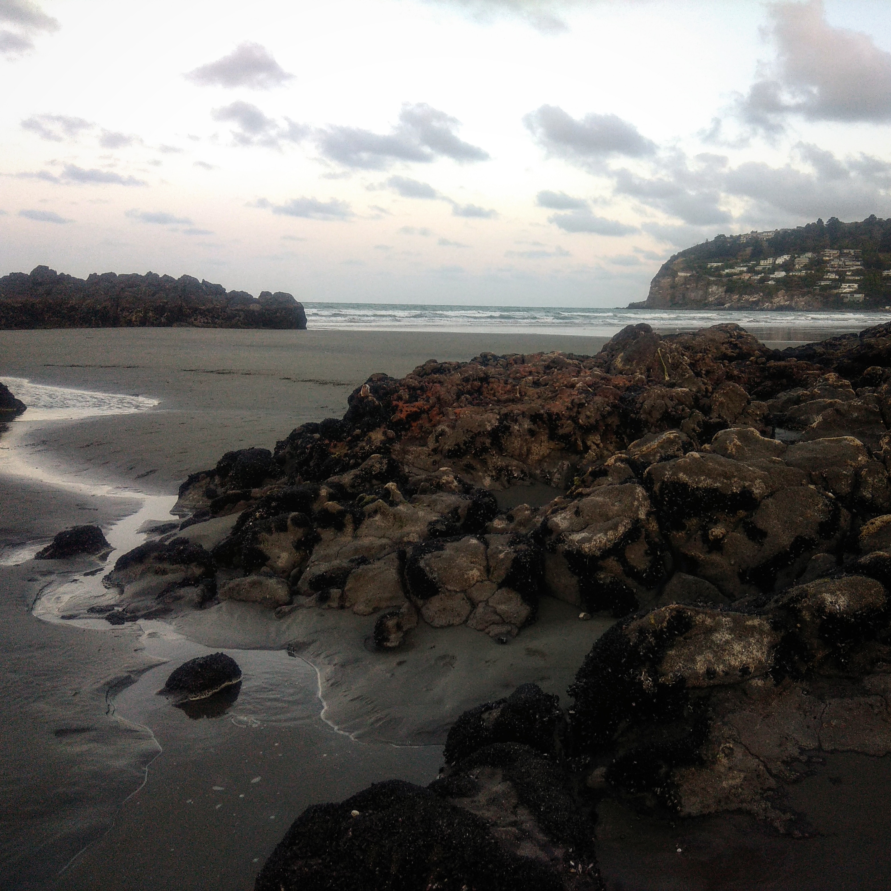 Christchurch B&amp;B Sumner Beach