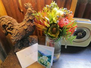 Christchurch B&amp;B Hosts