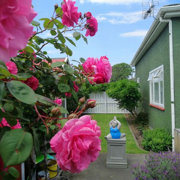 Christchurch B&amp;B Yoga Lady Pink Rose