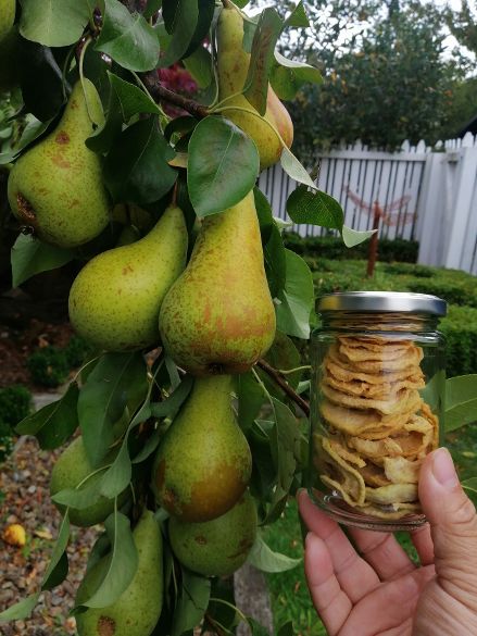Christchurch B&amp;B Pear Tree