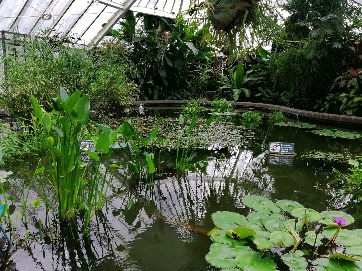 Wellington Botanical Garden