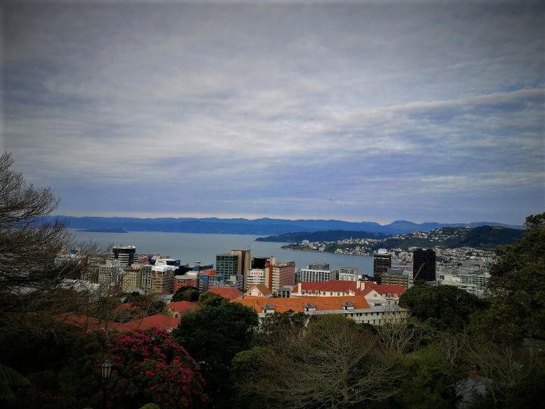 Wellington View NZ Bnb